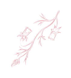 九游下载